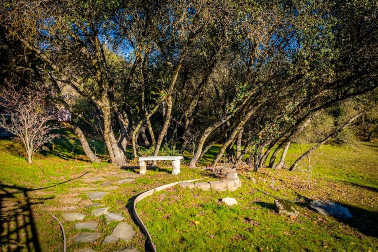 Fairy Tale 13-Acre Sunset Villa At Windy Gap Valley Near Yosemite Ahwahnee Εξωτερικό φωτογραφία